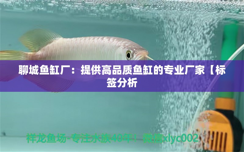 聊城鱼缸厂：提供高品质鱼缸的专业厂家【标签分析