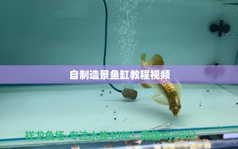 自制造景鱼缸教程视频