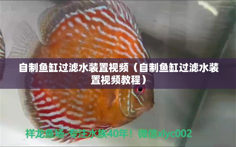 自制鱼缸过滤水装置视频（自制鱼缸过滤水装置视频教程） 其他品牌鱼缸