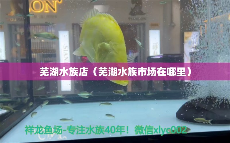 芜湖水族店（芜湖水族市场在哪里） 观赏鱼市场