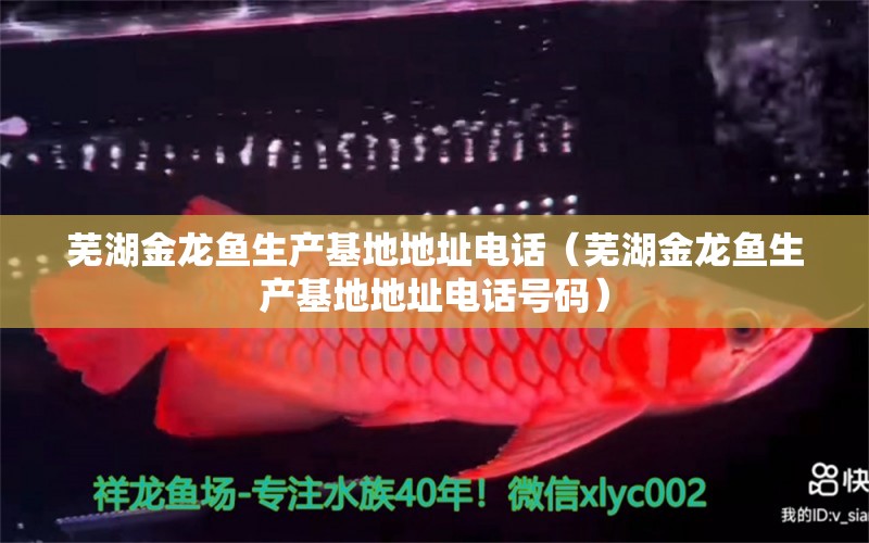 芜湖金龙鱼生产基地地址电话（芜湖金龙鱼生产基地地址电话号码）