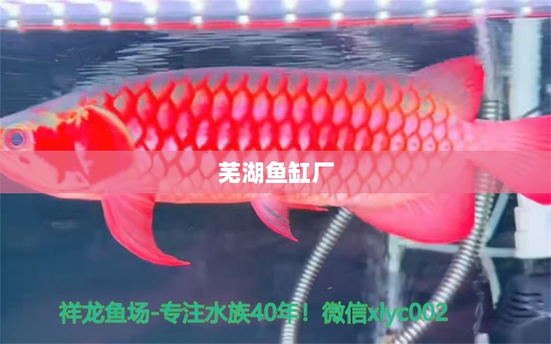 芜湖鱼缸厂