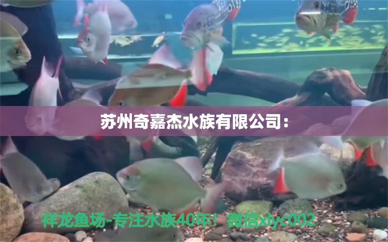 苏州奇嘉杰水族有限公司： 全国水族馆企业名录