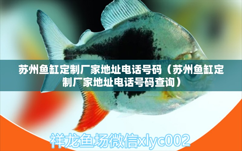 苏州鱼缸定制厂家地址电话号码（苏州鱼缸定制厂家地址电话号码查询） 观赏鱼市场（混养鱼）