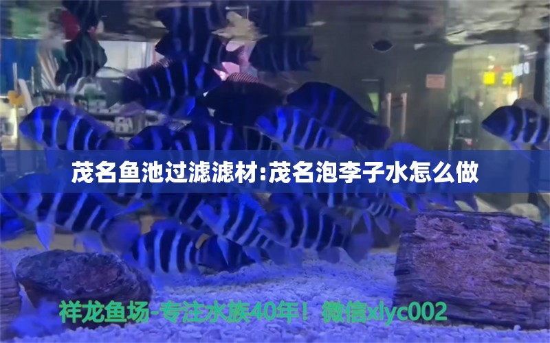 茂名鱼池过滤滤材:茂名泡李子水怎么做 广州水族器材滤材批发市场