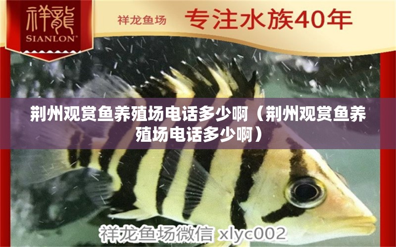荆州观赏鱼养殖场电话多少啊（荆州观赏鱼养殖场电话多少啊）