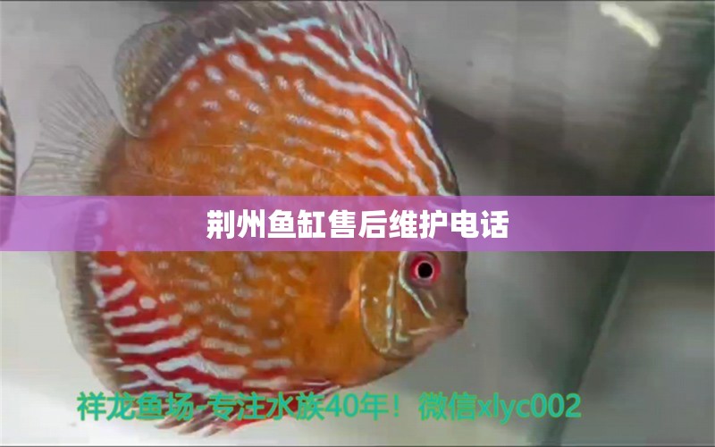荆州鱼缸售后维护电话 其他品牌鱼缸