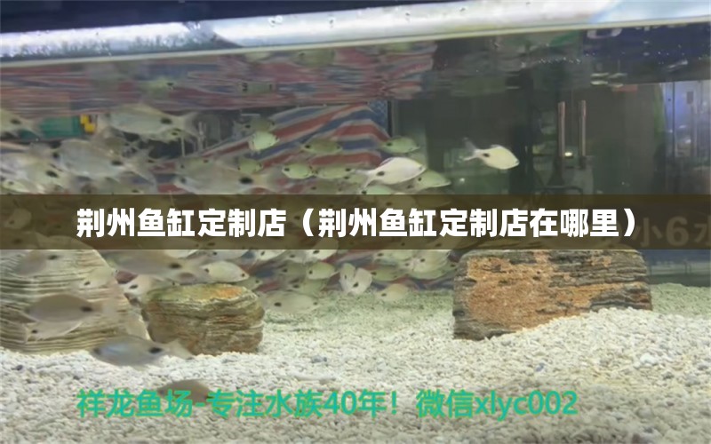 荆州鱼缸定制店（荆州鱼缸定制店在哪里） 其他品牌鱼缸