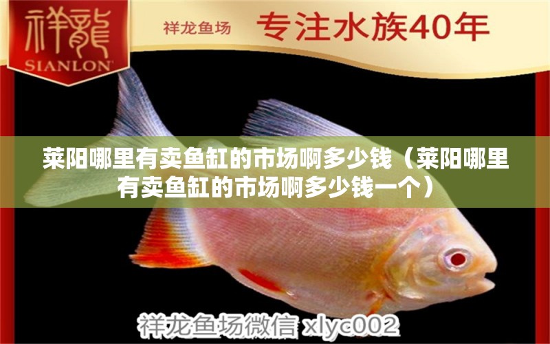 莱阳哪里有卖鱼缸的市场啊多少钱（莱阳哪里有卖鱼缸的市场啊多少钱一个） 量子养鱼技术