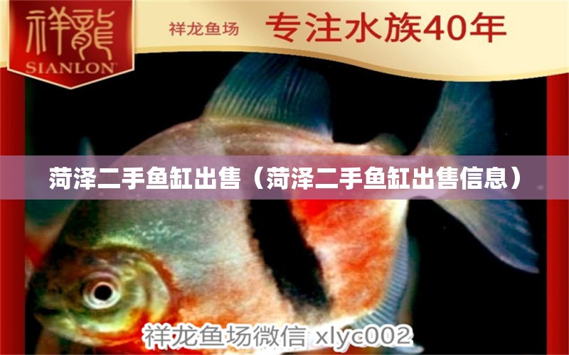 菏泽二手鱼缸出售（菏泽二手鱼缸出售信息） 观赏鱼市场（混养鱼）
