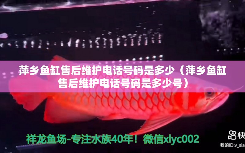 萍乡鱼缸售后维护电话号码是多少（萍乡鱼缸售后维护电话号码是多少号）