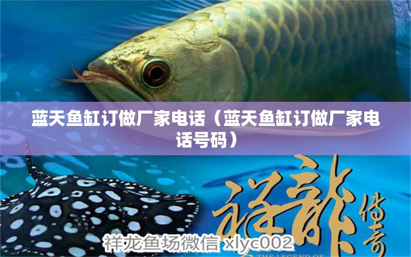 蓝天鱼缸订做厂家电话（蓝天鱼缸订做厂家电话号码） 广州龙鱼批发市场