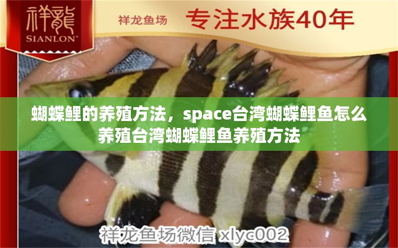 蝴蝶鲤的养殖方法，space台湾蝴蝶鲤鱼怎么养殖台湾蝴蝶鲤鱼养殖方法