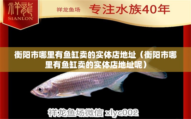 衡阳市哪里有鱼缸卖的实体店地址（衡阳市哪里有鱼缸卖的实体店地址呢） 量子养鱼技术