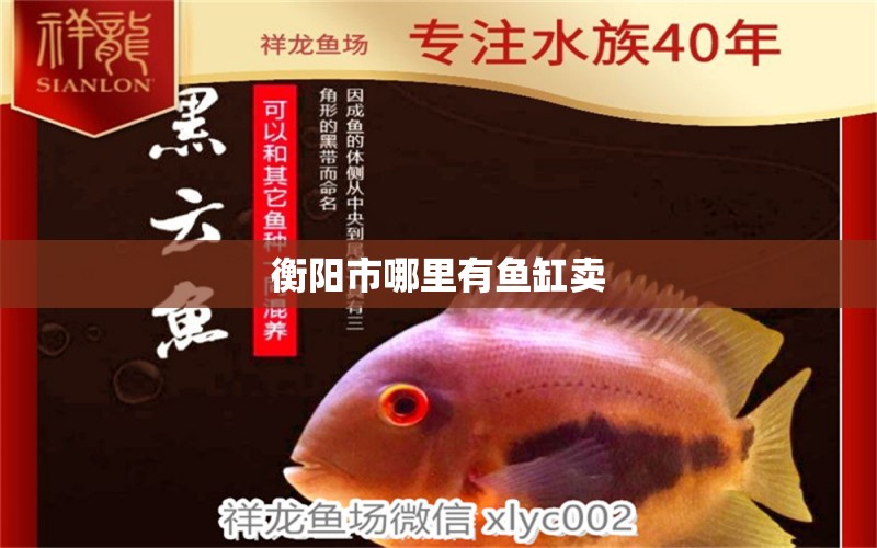 衡阳市哪里有鱼缸卖 其他品牌鱼缸