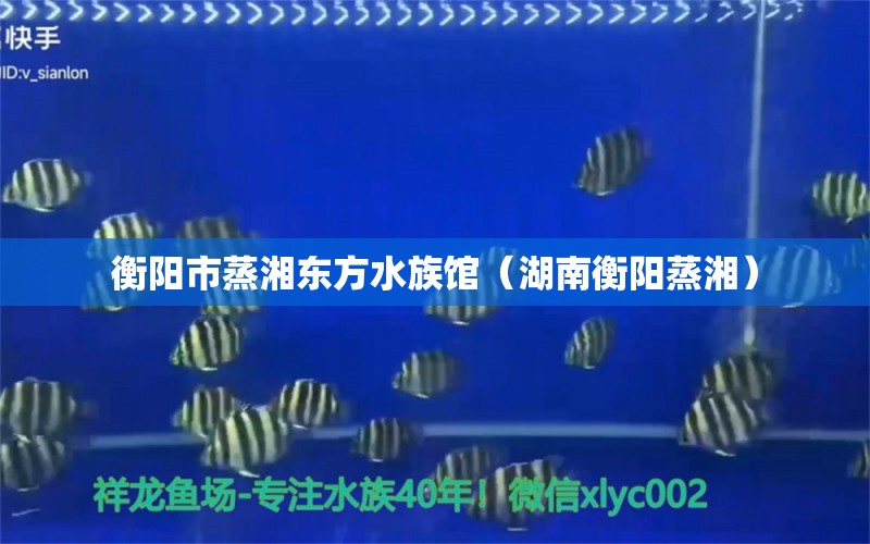 衡阳市蒸湘东方水族馆（湖南衡阳蒸湘） 全国水族馆企业名录