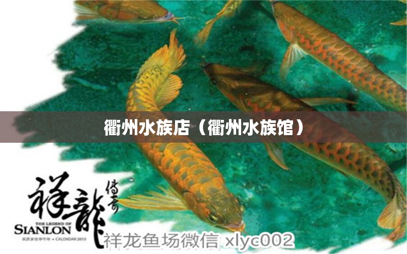 衢州水族店（衢州水族馆） 观赏鱼市场