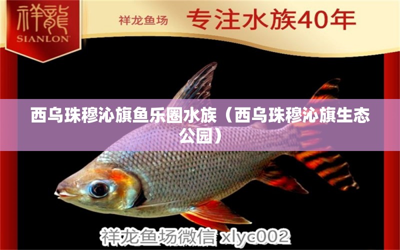 西乌珠穆沁旗鱼乐圈水族（西乌珠穆沁旗生态公园） 全国水族馆企业名录