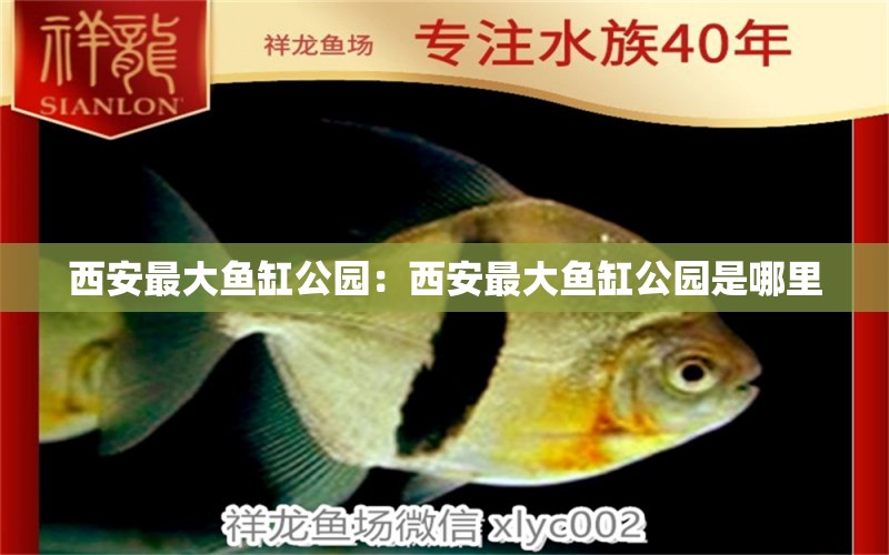 西安最大鱼缸公园：西安最大鱼缸公园是哪里