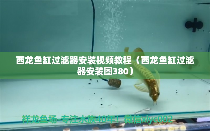 西龙鱼缸过滤器安装视频教程（西龙鱼缸过滤器安装图380）