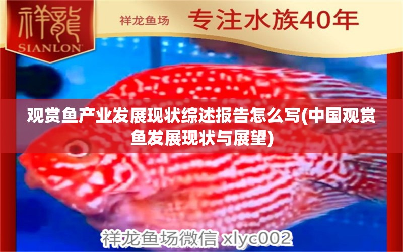观赏鱼产业发展现状综述报告怎么写(中国观赏鱼发展现状与展望)