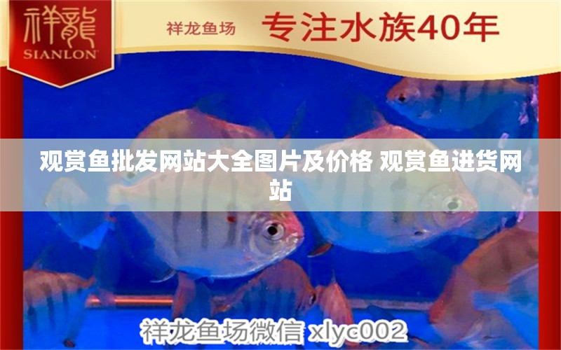 观赏鱼批发网站大全图片及价格 观赏鱼进货网站