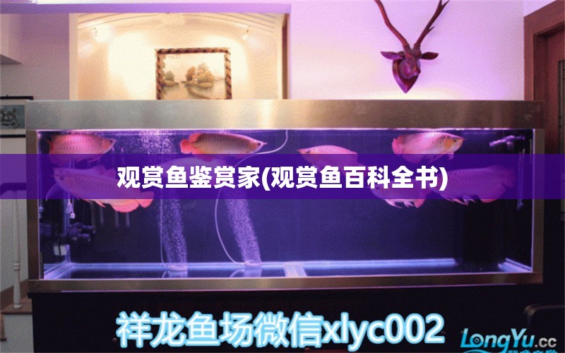 观赏鱼鉴赏家(观赏鱼百科全书) 广州龙鱼批发市场