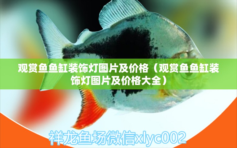 观赏鱼鱼缸装饰灯图片及价格（观赏鱼鱼缸装饰灯图片及价格大全） 观赏鱼市场（混养鱼）
