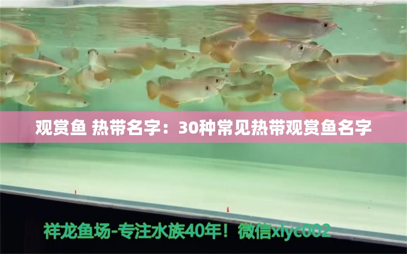 观赏鱼 热带名字：30种常见热带观赏鱼名字 广州水族批发市场