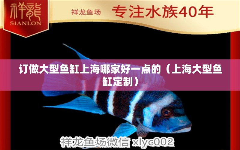 订做大型鱼缸上海哪家好一点的（上海大型鱼缸定制）