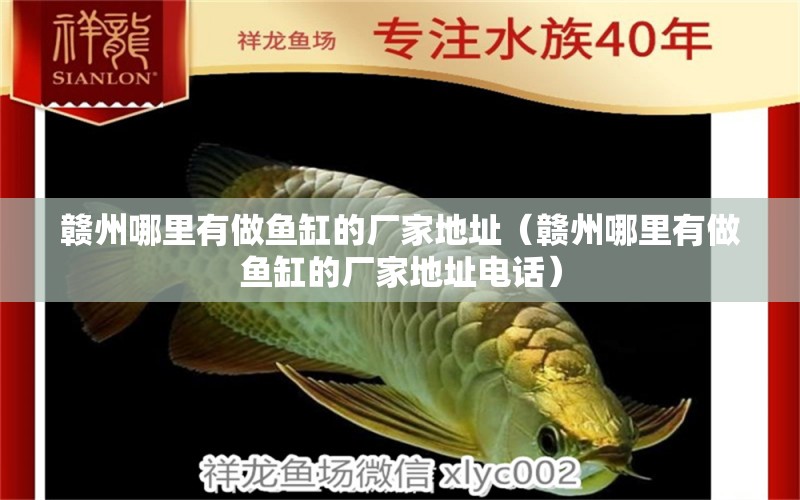 赣州哪里有做鱼缸的厂家地址（赣州哪里有做鱼缸的厂家地址电话） 观赏鱼市场（混养鱼）