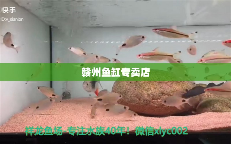 赣州鱼缸专卖店 其他品牌鱼缸