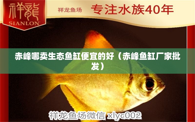 赤峰哪卖生态鱼缸便宜的好（赤峰鱼缸厂家批发） 观赏鱼批发