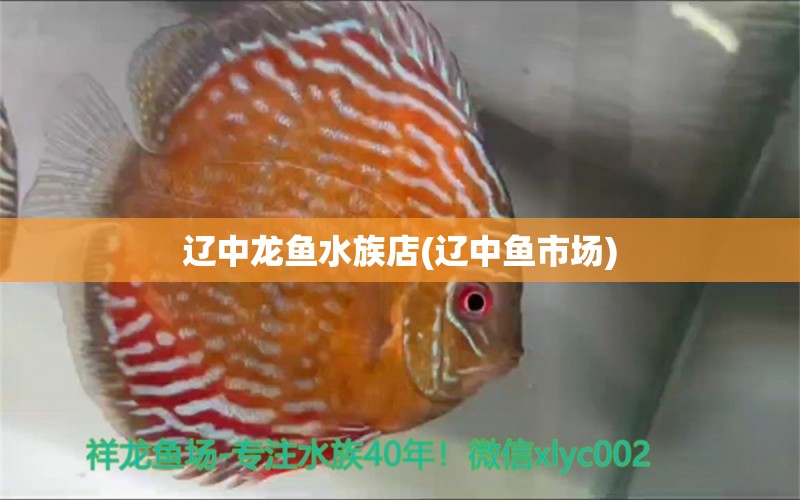 辽中龙鱼水族店(辽中鱼市场) 鹦鹉鱼 第1张