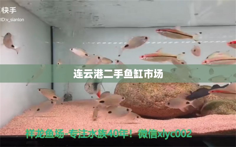 连云港二手鱼缸市场