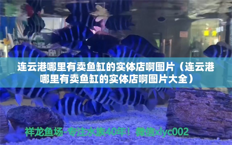连云港哪里有卖鱼缸的实体店啊图片（连云港哪里有卖鱼缸的实体店啊图片大全） 黄金鸭嘴鱼
