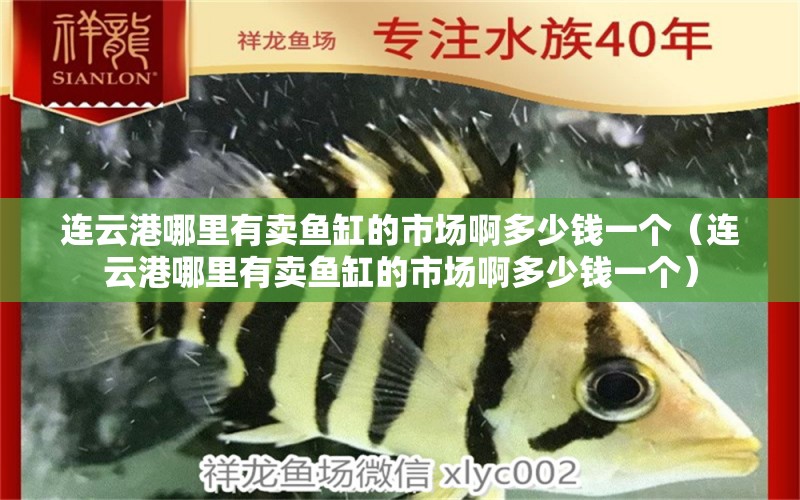 连云港哪里有卖鱼缸的市场啊多少钱一个（连云港哪里有卖鱼缸的市场啊多少钱一个）
