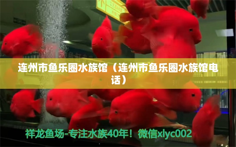连州市鱼乐圈水族馆（连州市鱼乐圈水族馆电话） 全国水族馆企业名录