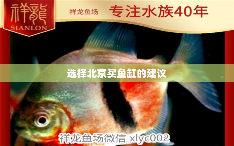 选择北京买鱼缸的建议