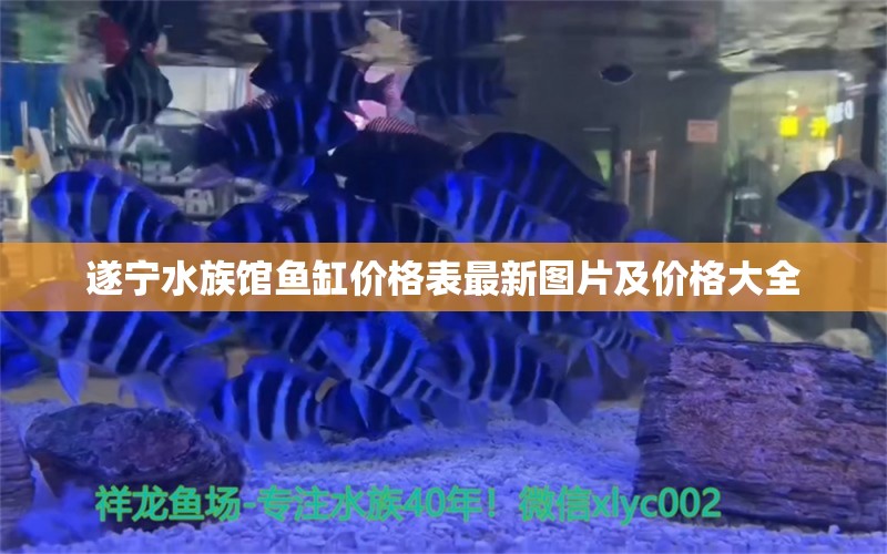 遂宁水族馆鱼缸价格表最新图片及价格大全