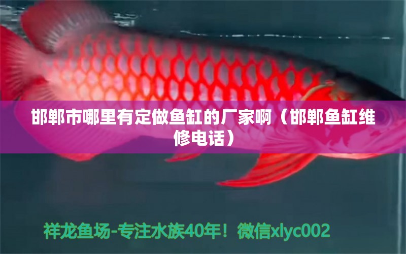 邯郸市哪里有定做鱼缸的厂家啊（邯郸鱼缸维修电话） 鱼缸净水剂