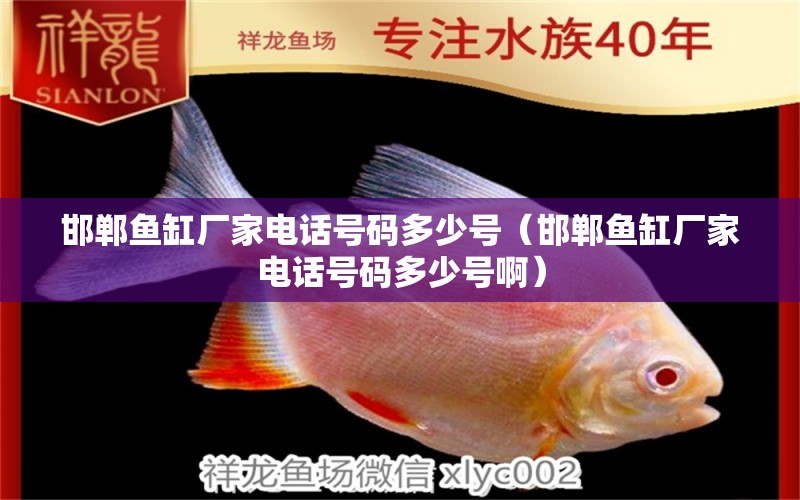 邯郸鱼缸厂家电话号码多少号（邯郸鱼缸厂家电话号码多少号啊） 潜水艇鱼