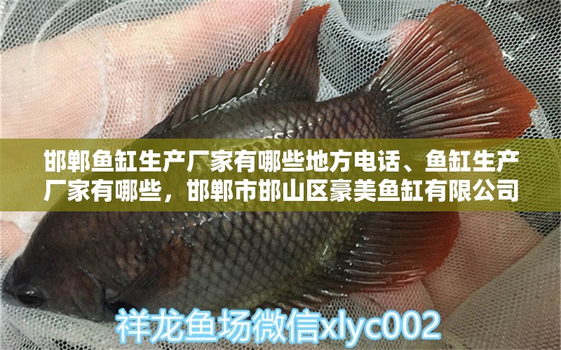 邯郸鱼缸生产厂家有哪些地方电话、鱼缸生产厂家有哪些，邯郸市邯山区豪美鱼缸有限公司