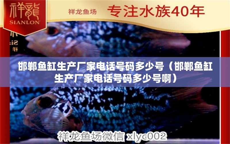 邯郸鱼缸生产厂家电话号码多少号（邯郸鱼缸生产厂家电话号码多少号啊） 观赏鱼市场（混养鱼）