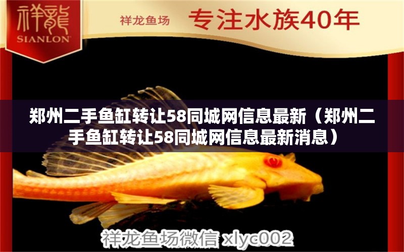 郑州二手鱼缸转让58同城网信息最新（郑州二手鱼缸转让58同城网信息最新消息）