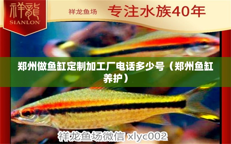 郑州做鱼缸定制加工厂电话多少号（郑州鱼缸养护） 观赏鱼批发