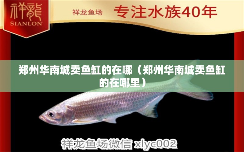 郑州华南城卖鱼缸的在哪（郑州华南城卖鱼缸的在哪里） 养鱼的好处