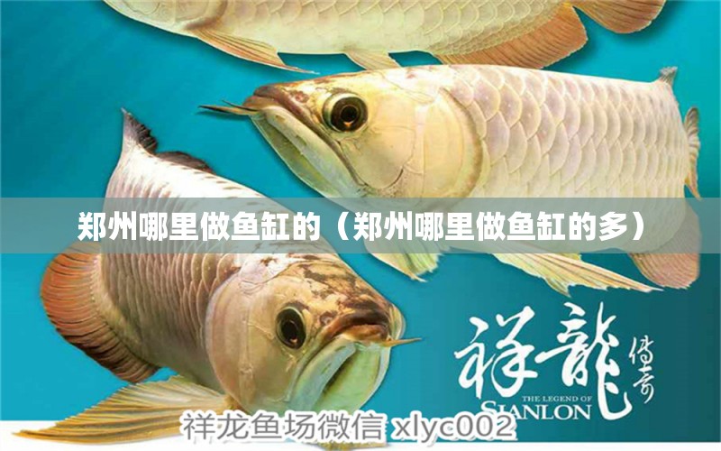 郑州哪里做鱼缸的（郑州哪里做鱼缸的多） 其他品牌鱼缸