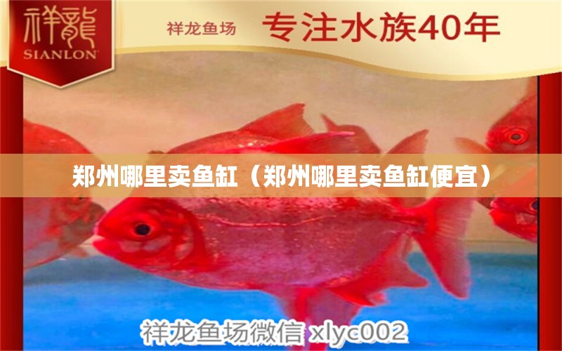 郑州哪里卖鱼缸（郑州哪里卖鱼缸便宜） 其他品牌鱼缸