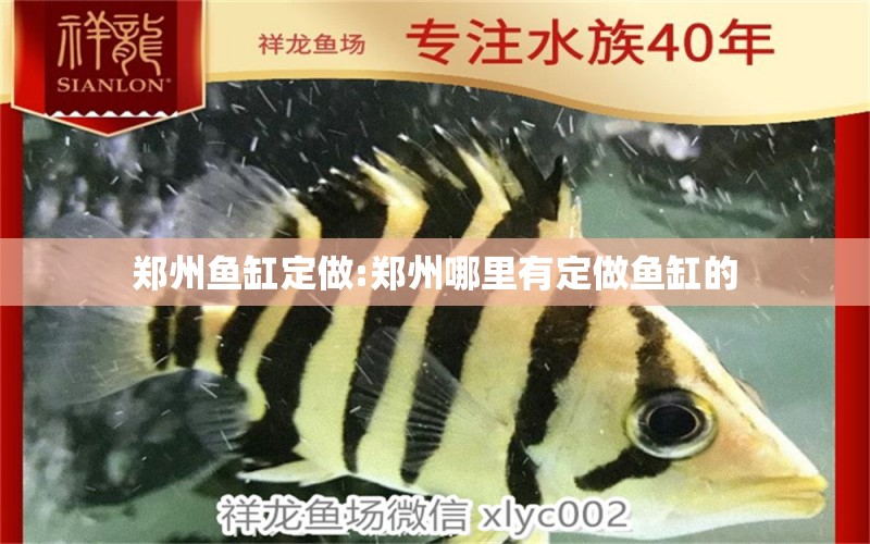 郑州鱼缸定做:郑州哪里有定做鱼缸的 鱼缸